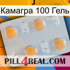 Камагра 100 Гель 24